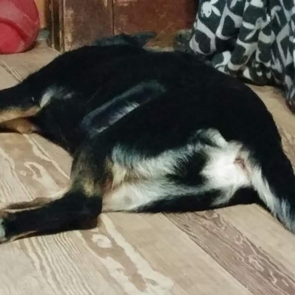 Meet your Posher, Jennifer - Picture 3 of 16